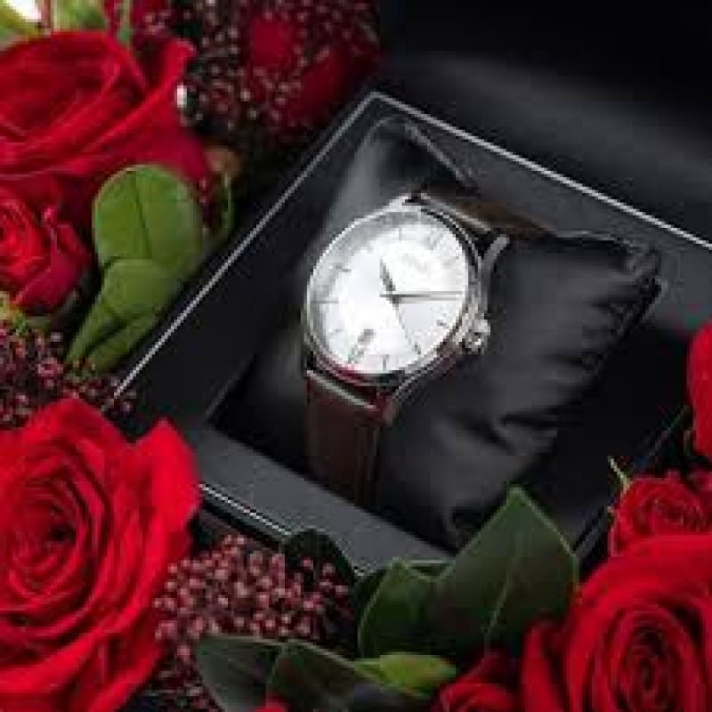 Boss Multi Eye Brown Watch | Sweet Red